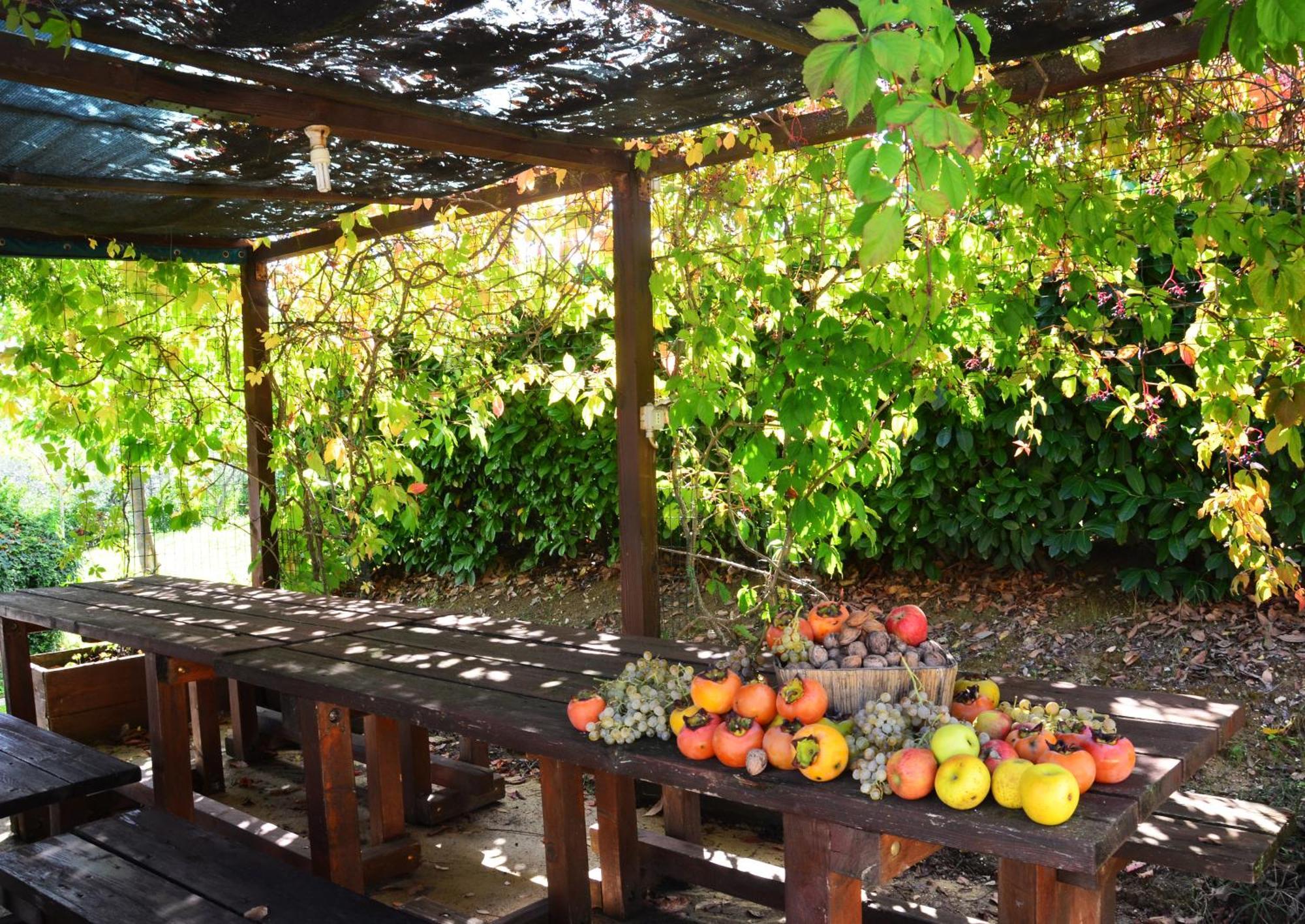 Country House Nonna Rana Cannara Exterior photo